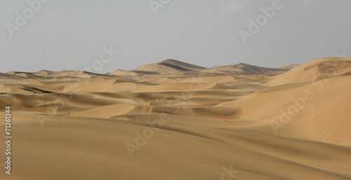 Namib Desert