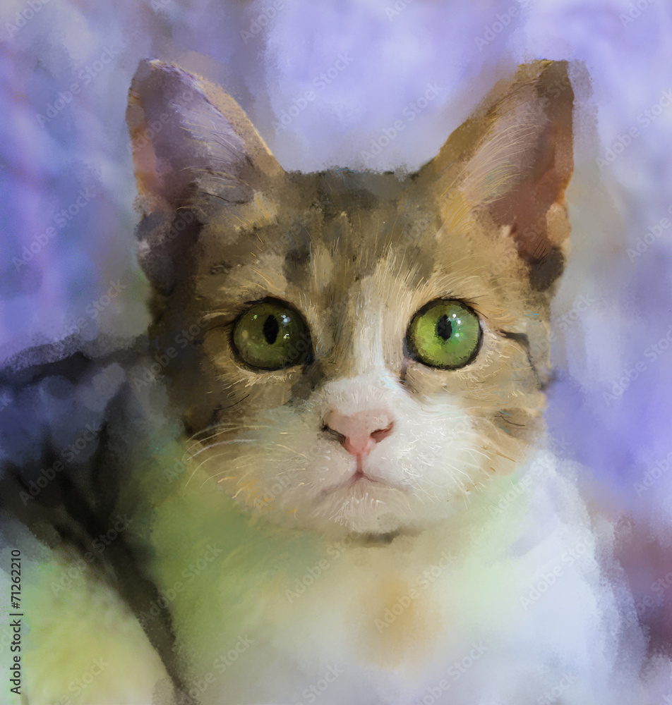 Obraz premium Oil painting of cat face