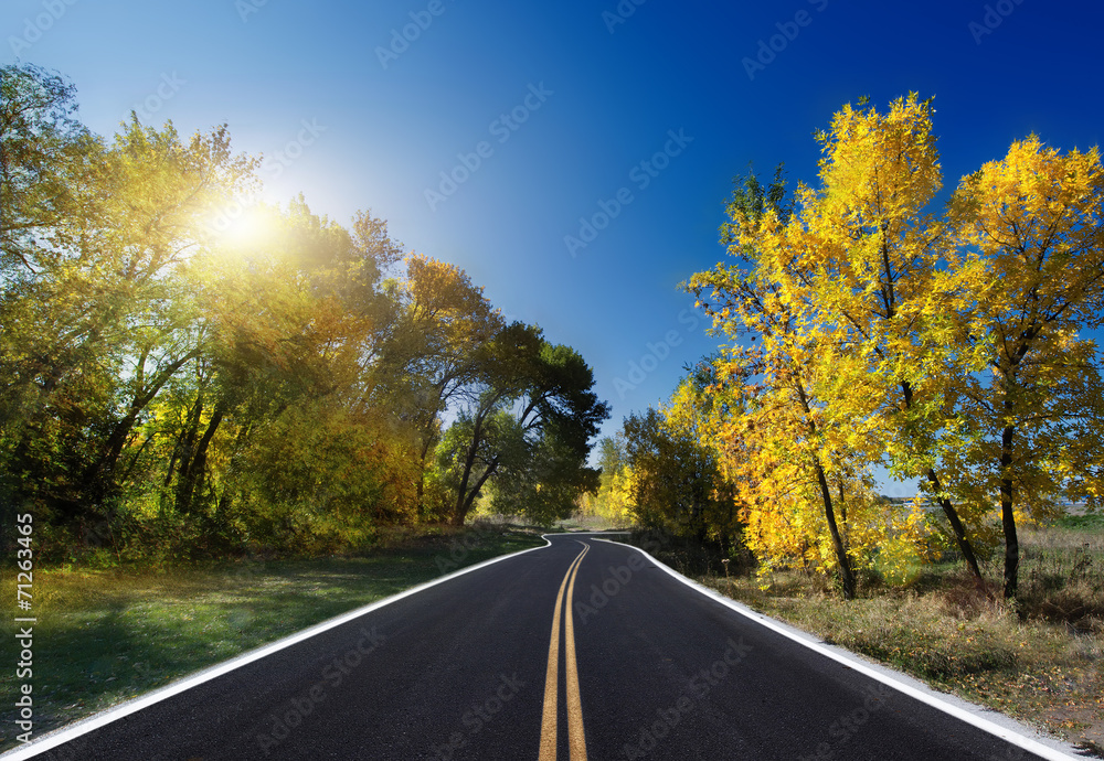 Autumn Landscape. road
