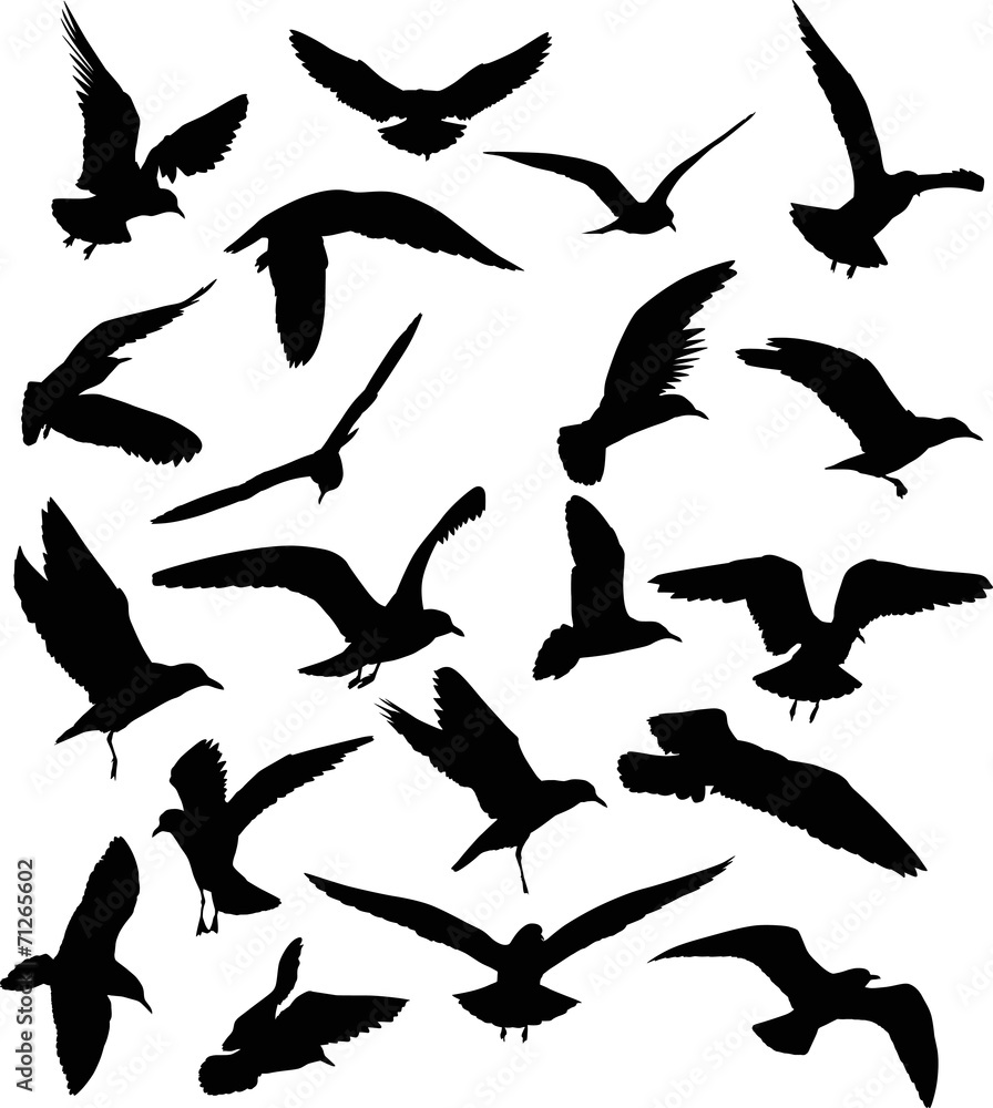 set of twenty gull black silhouettes set of twenty gull black silhouettes