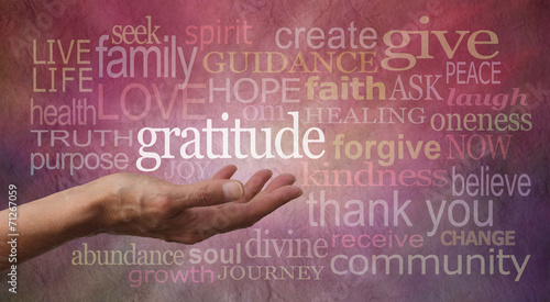 Gratitude Attitude photo