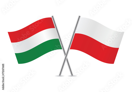 Hungarian and Polish flags. Vector illustration. Free Download Hungarian and Polish flags. Vector illustration. - GFXLoad