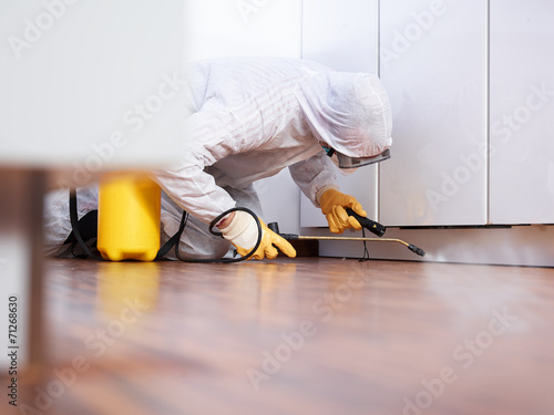 Pest controler works in the kitchen photo