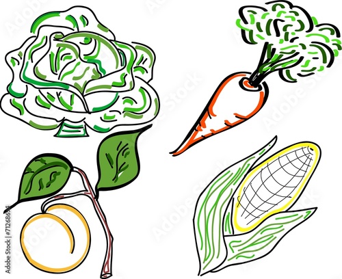 A variety of vegetable doodles