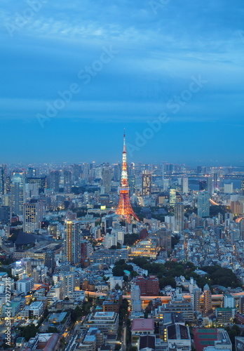Tokyo  Japan cityscape aerial cityscape view at dusk.