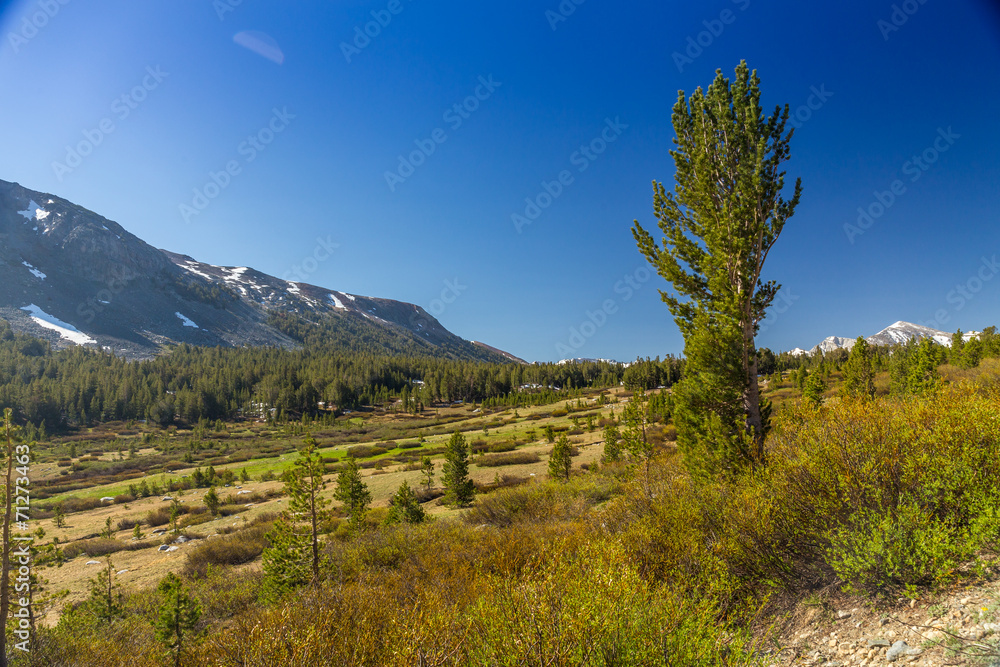 Tioga Pass Tioga Pass