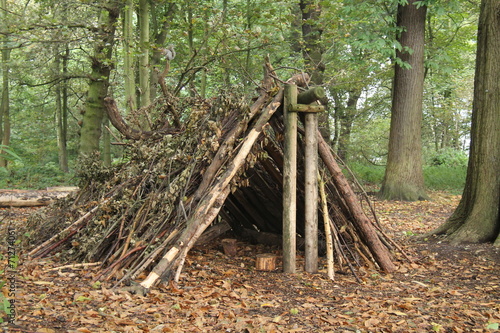 A Forest Shelter Made From All Natural Materials. photo