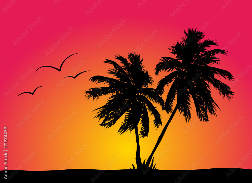 Palms Sunset and Birds