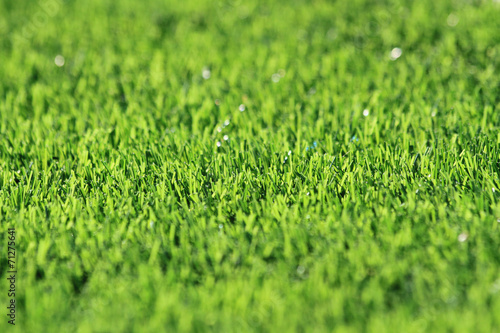 plastic green grass background
