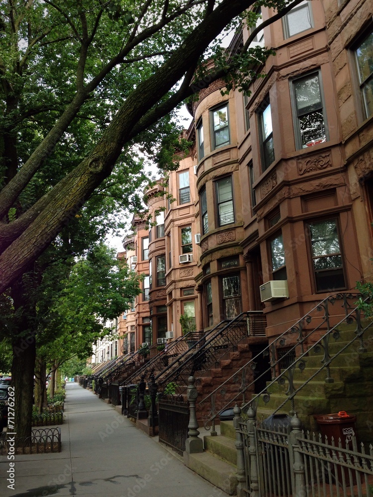 Fototapeta premium New York Brownstone house