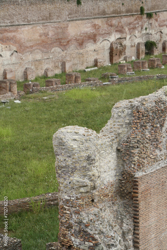 Canvas Print Palatine Hill