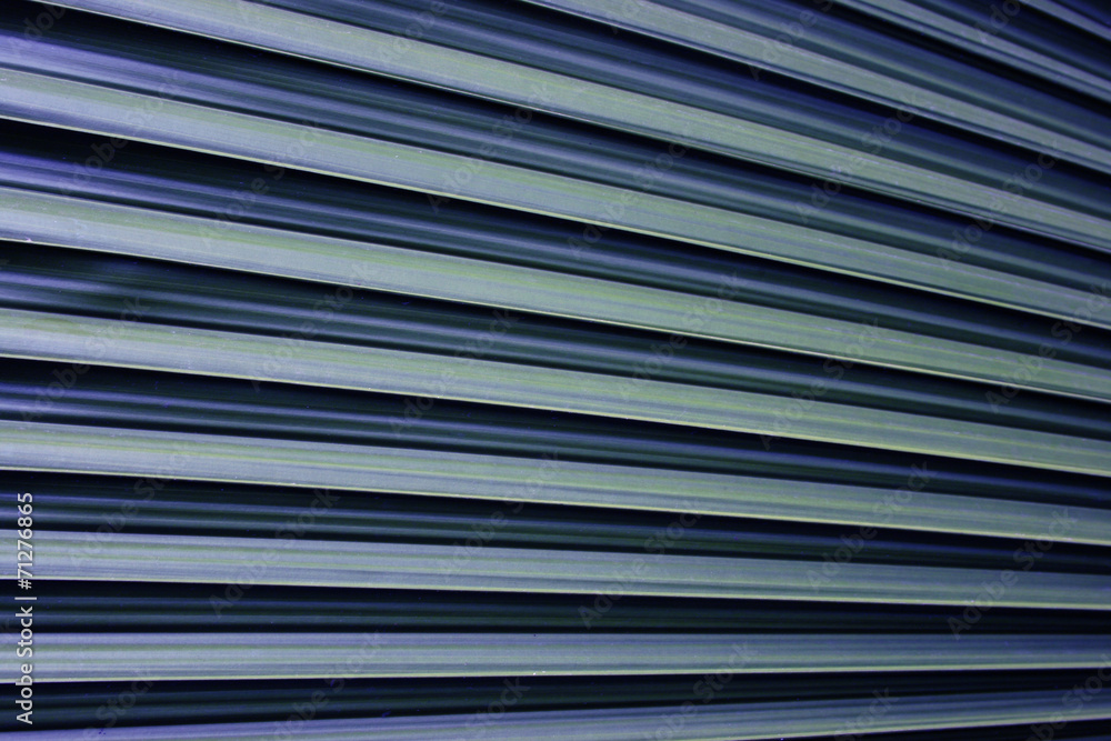 image of palm leaf for background image of palm leaf for background