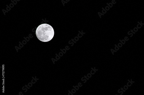 Full Moon at Night #71279895