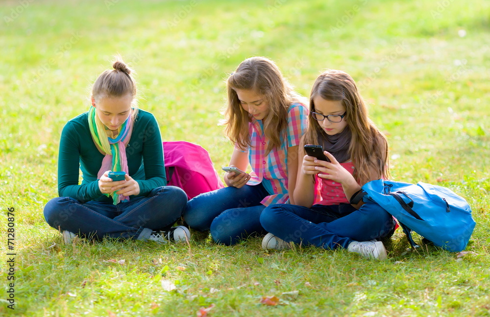 Teen girls on grass, using their mobile phones Teen girls on grass, using their mobile phones