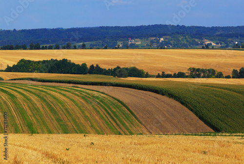 Cultivated agricultural landscape