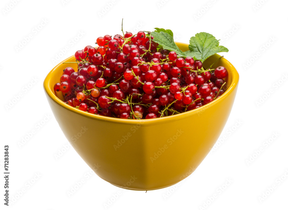 Red currant Red currant