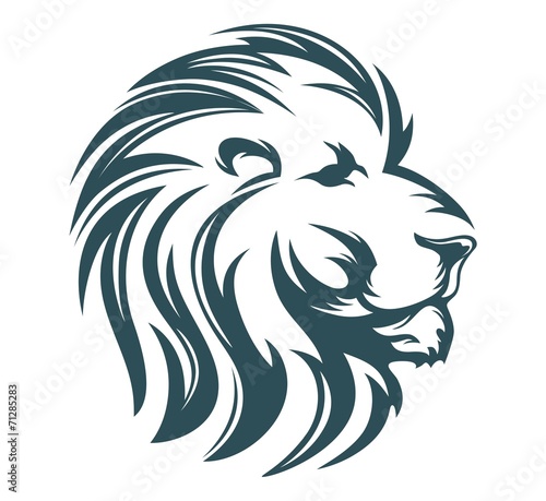 lion head cool design