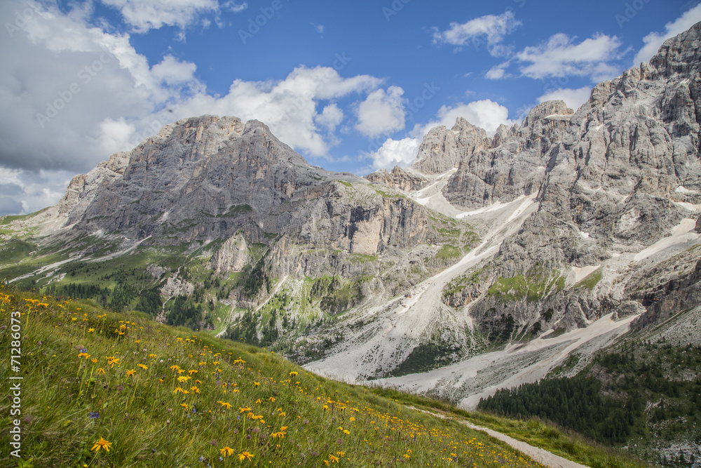 Dolomites vision of Mount Mulaz among the flowers