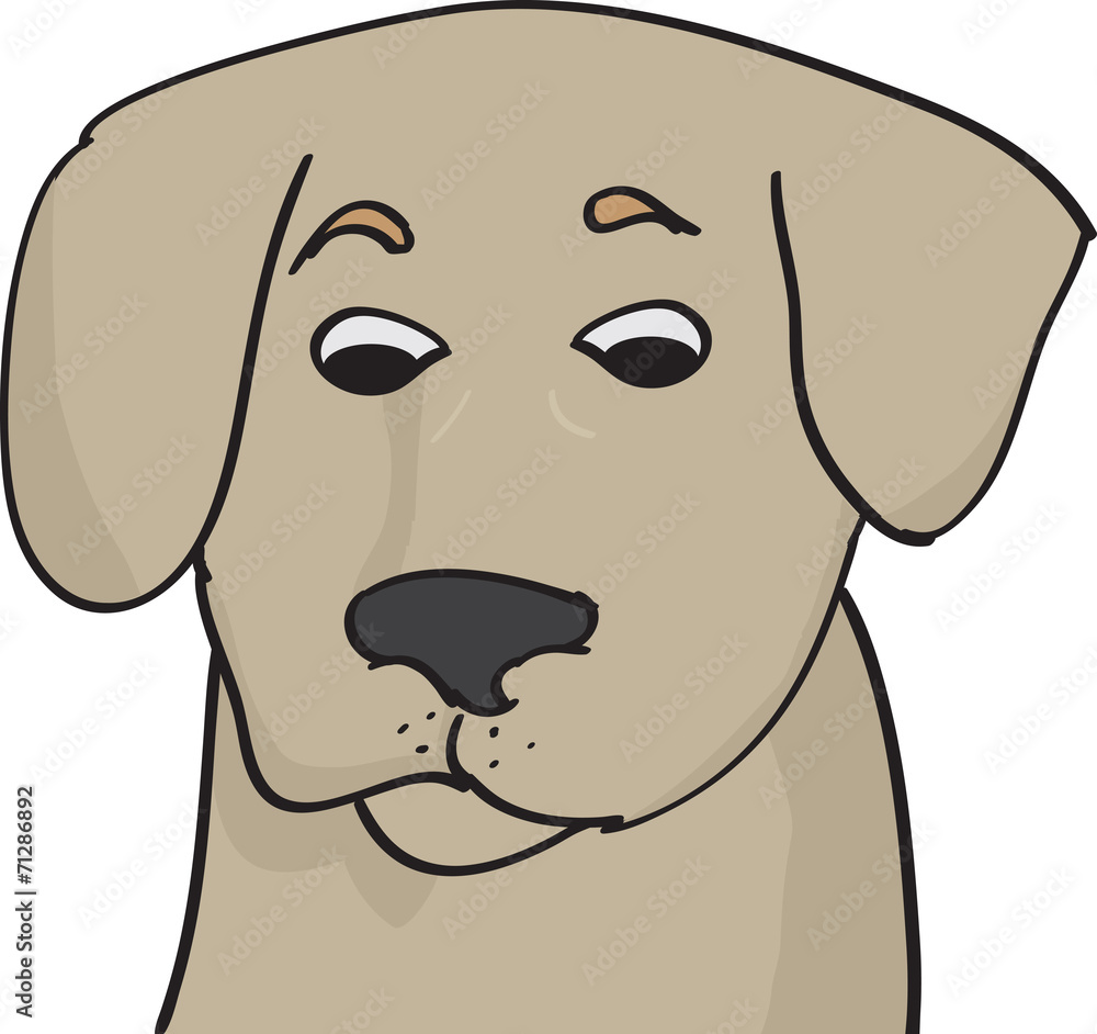 Fototapeta premium puppy