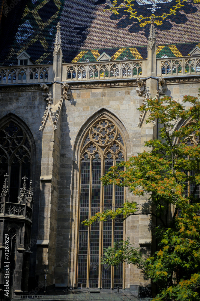 St. Stephans cathedral, Vienna, Austria St. Stephans cathedral, Vienna, Austria
