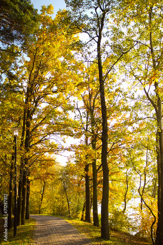 golden autumn on the lake.