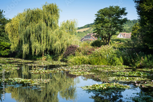 Fotografia Claude Monet's water garden at Giverny in France