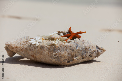 Rest in Paradise - Malediven - Muschel und Seestern im Sand