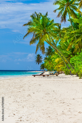 Rest in Paradise - Malediven - Liegen und Palmen am Strand