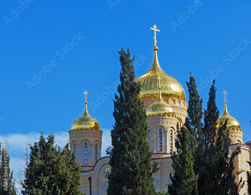 Orthodox Gorny Сonvent, Ein Kerem, Jerusalem photo