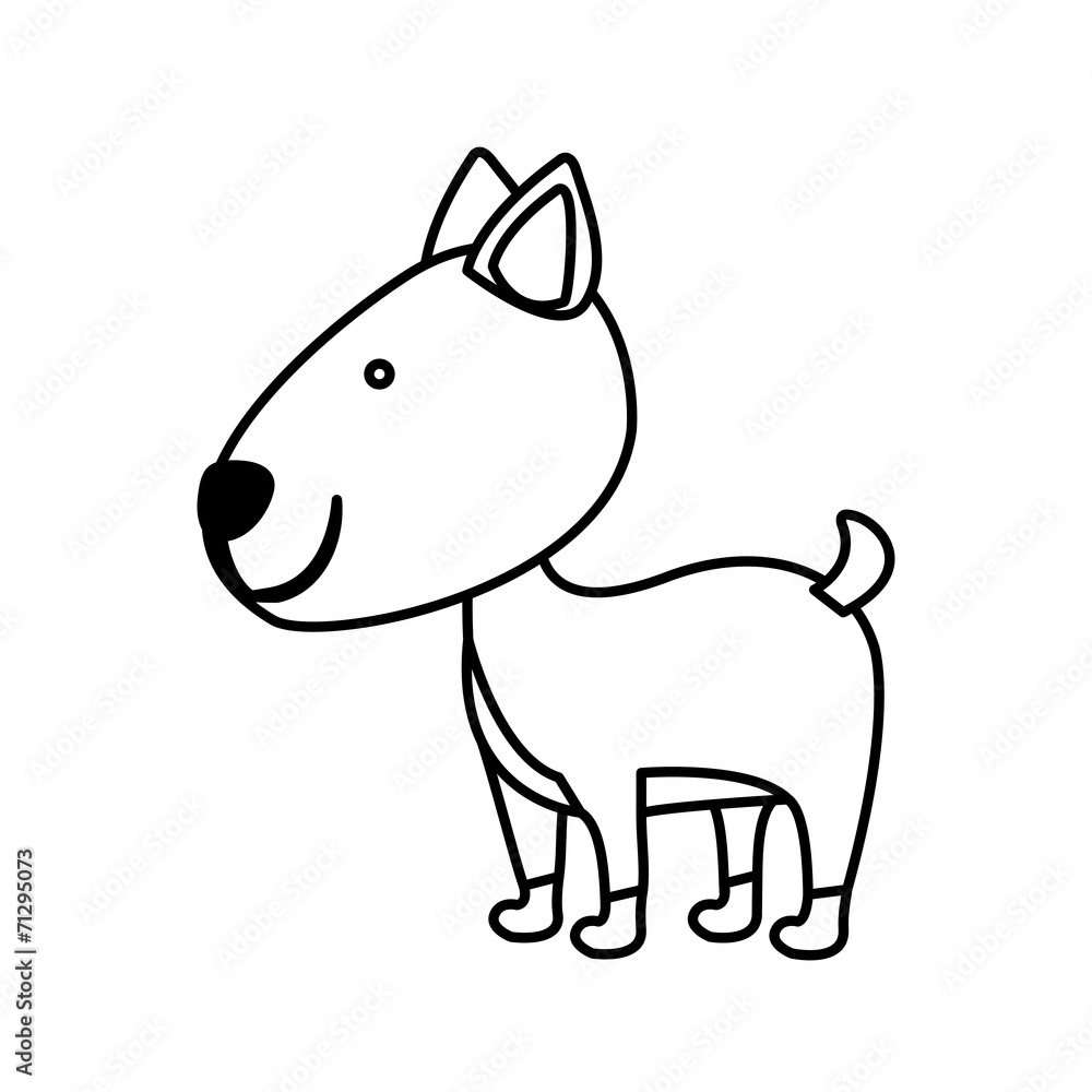 Animal design Animal design