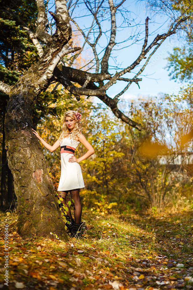 portrait the girl fall in the wood portrait the girl fall in the wood