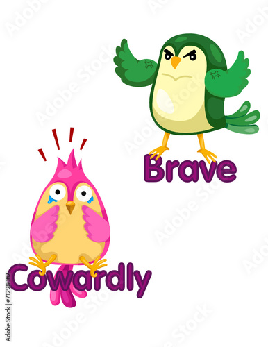 cute birds with opposite words