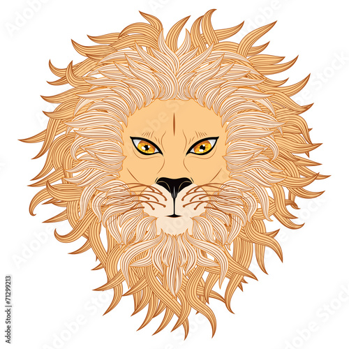 Fototapeta Naklejka Na Ścianę i Meble -  Lion Face