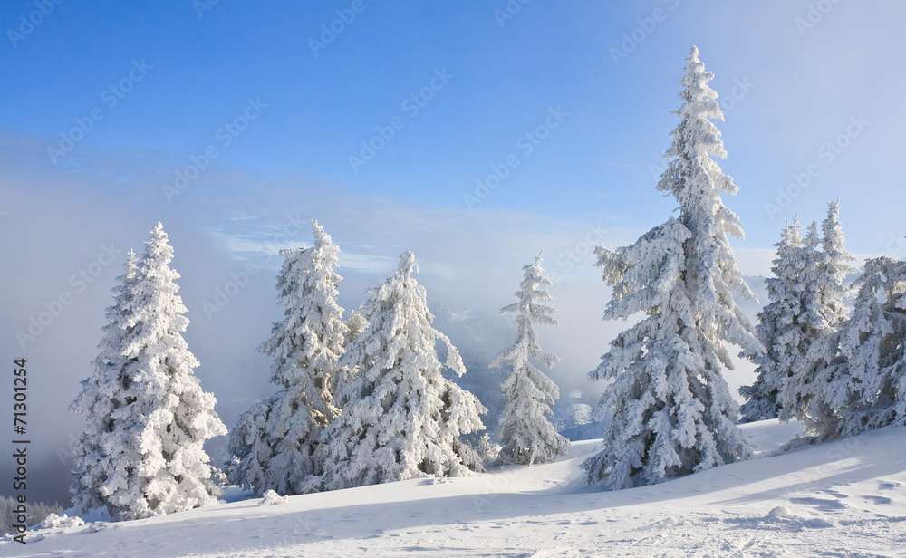 Mountain landscape. Schladming. Austria