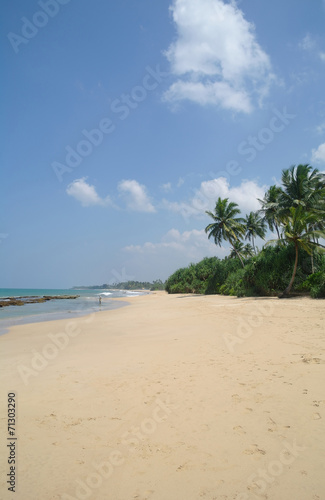 Fototapeta Naklejka Na Ścianę i Meble -  Picturesque  tropical beach. Sri Lanka
