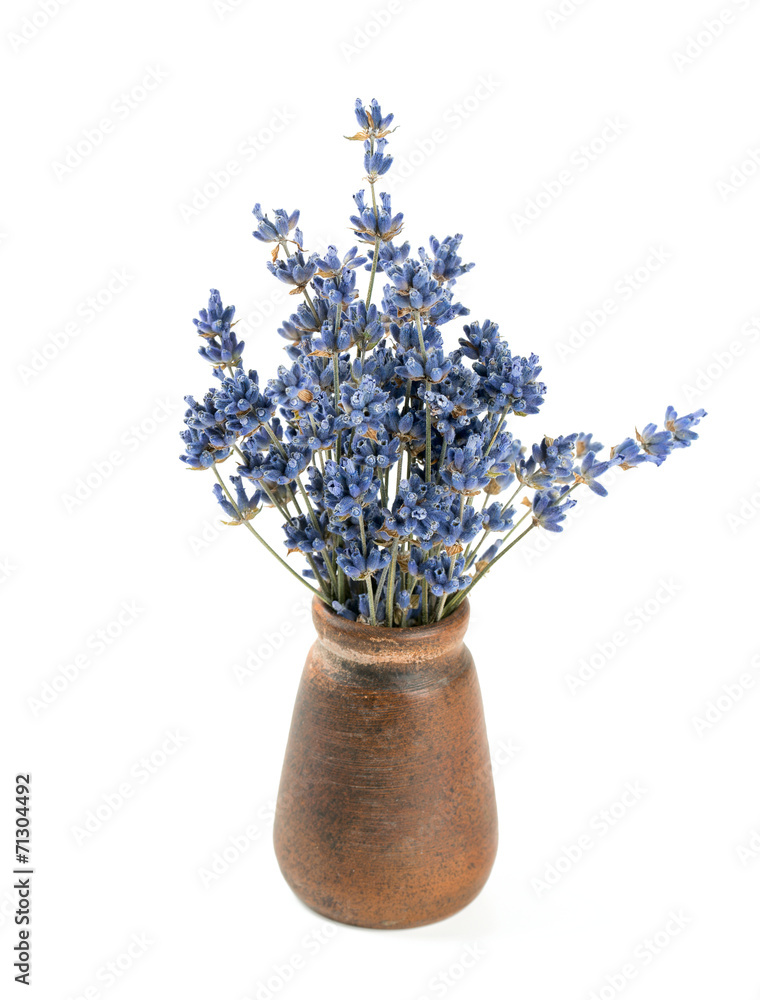 Naklejka premium dried lavender in vase isolated on white