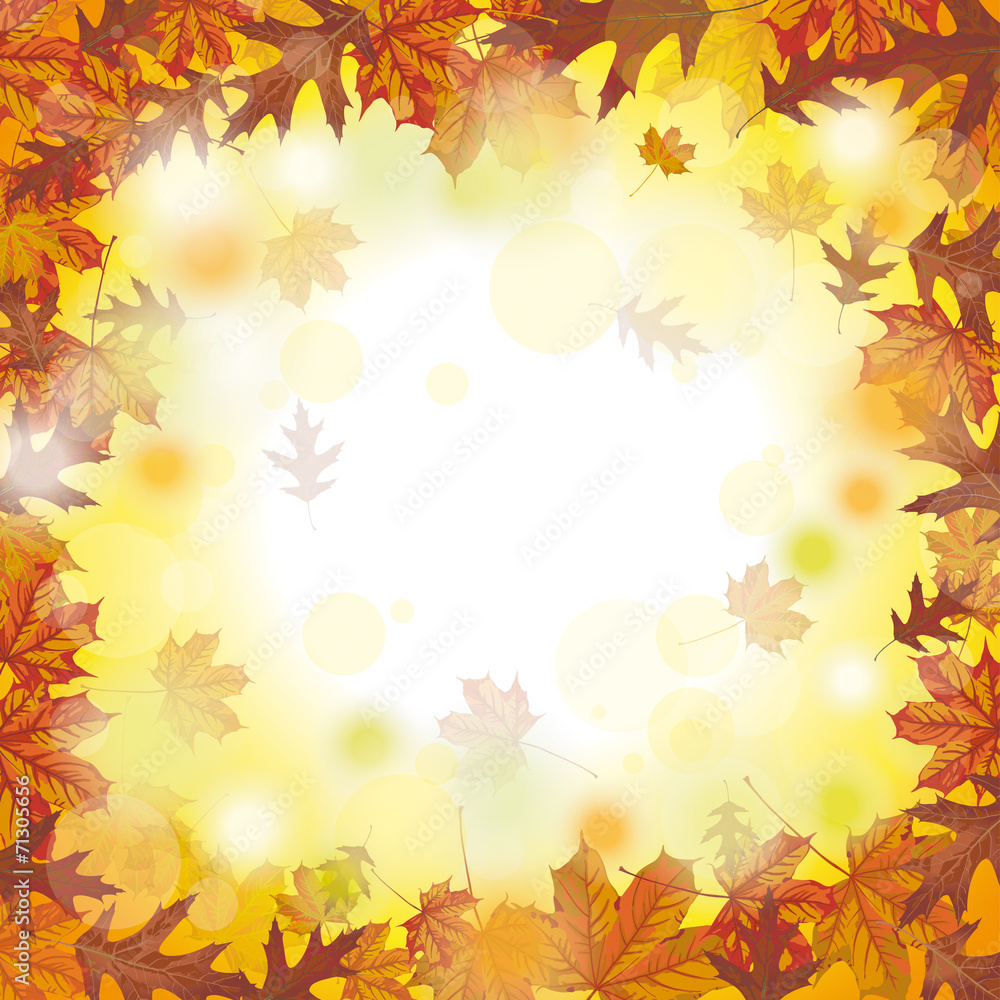 Outside Autumn Foliage Fall Outside Autumn Foliage Fall