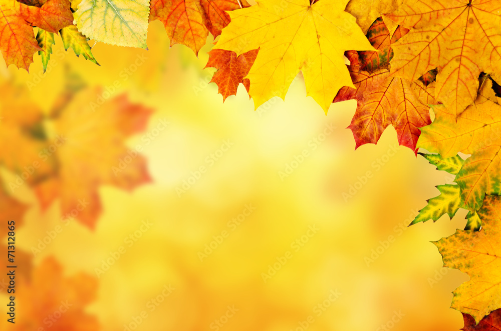Fototapeta premium Autumn leaves frame