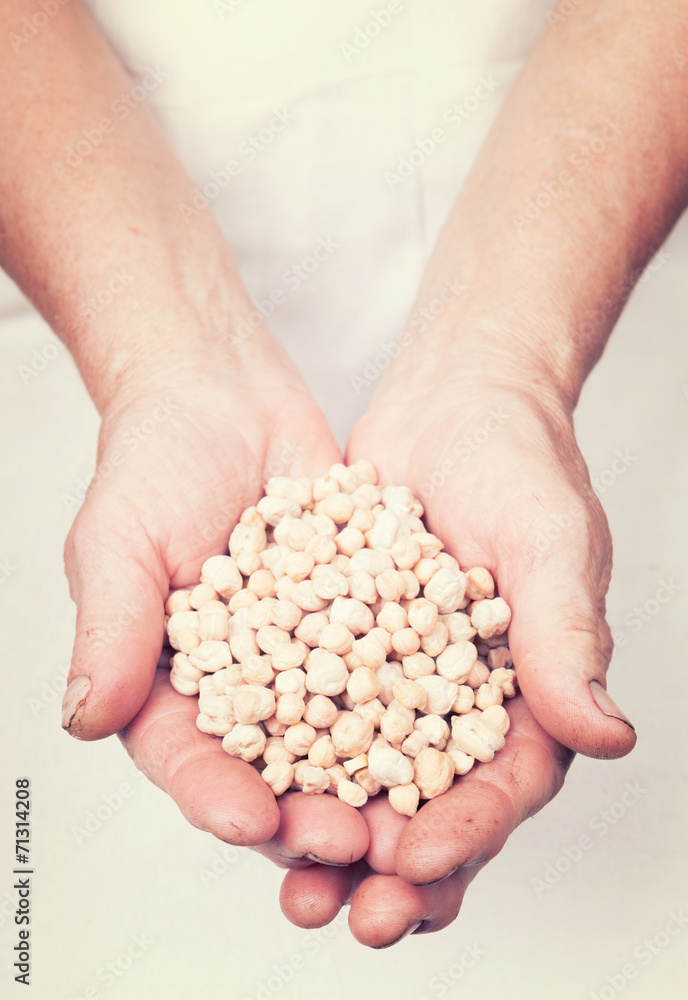 Elderly hands holding organic fresh chick peas with vintage styl Elderly hands holding organic fresh chick peas with vintage styl