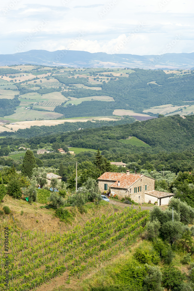 Fototapeta premium Montalcino (Tuscany, Italy)