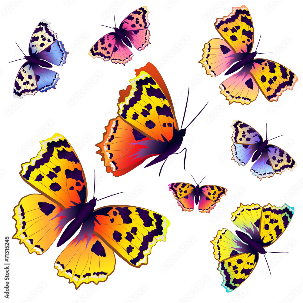 Naklejka premium butterflies design