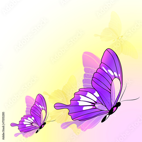 butterflies design