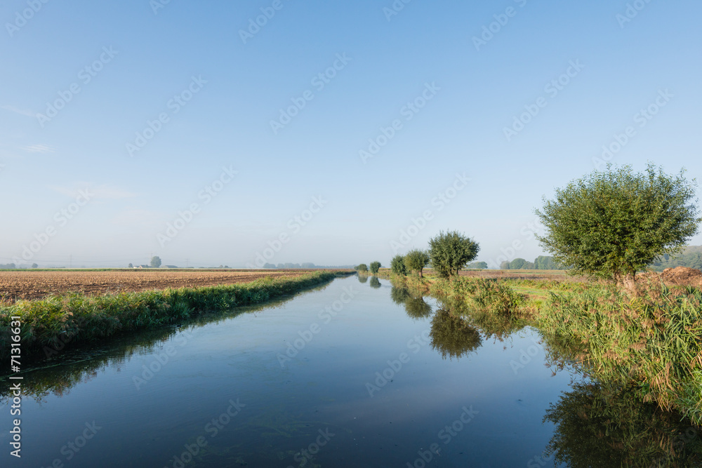 Pollard willows reflected in a mirror smooth water surface