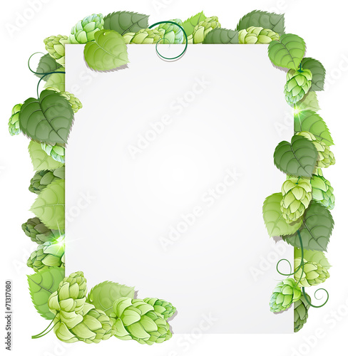 Hops branch abstract frame