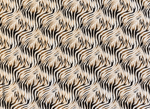 texture of fabric stripes zebra