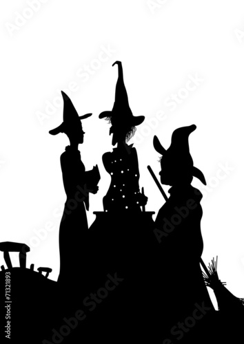 Valokuvatapetti 3 witches cauldron