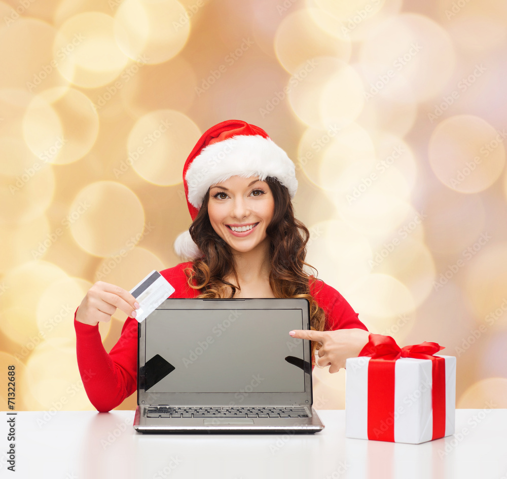 smiling woman with credit card and laptop smiling woman with credit card and laptop