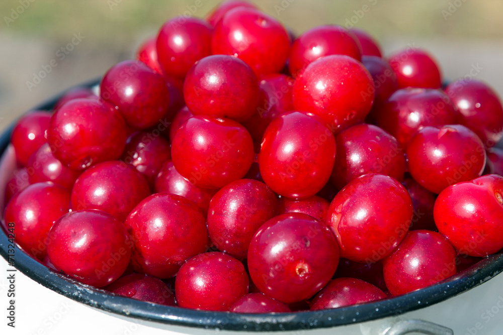 Appetizing red cherries on a green background Appetizing red cherries on a green background
