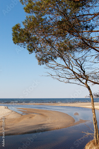 Baltic sea coast.