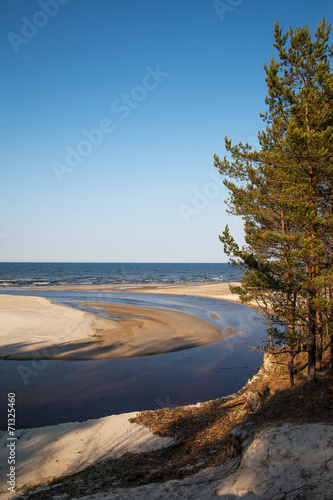 Fototapeta Naklejka Na Ścianę i Meble -  Baltic sea coast.